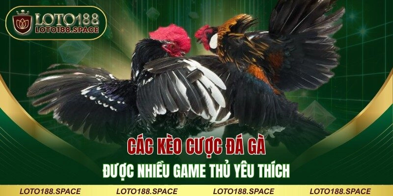 Các kèo cược đá gà được nhiều game thủ yêu thích