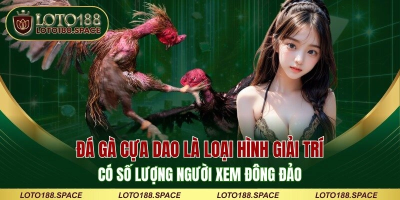 Đá gà cựa dao là loại hình giải trí có số lượng người xem đông đảo