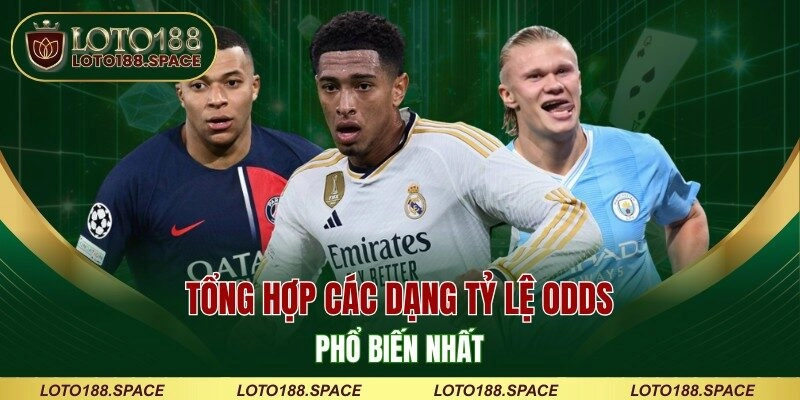Tổng hợp các dạng tỷ lệ odds phổ biến nhất
