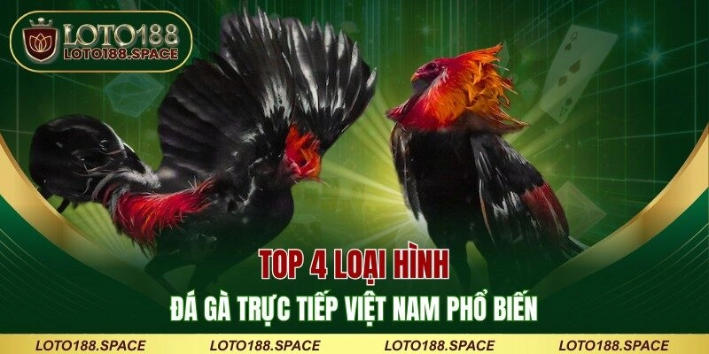 Top 4 loại hình đá gà trực tiếp Việt Nam phổ biến 